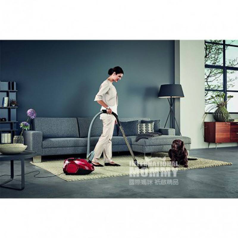 AEG 독일 AEG 가정용바닥카페트샌드백진공청소기 VX7 - 1 - WR - P 해외버전