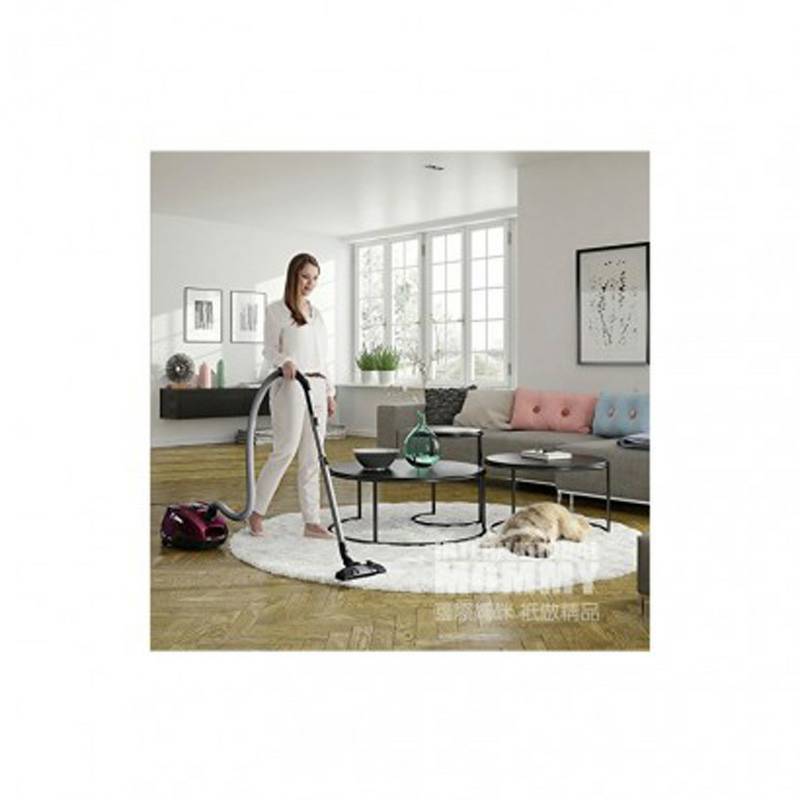 AEG 독일 AEG 가정용바닥카펫먼지봉투진공청소기 ASP7150 해외버전