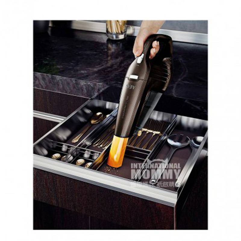 AEG 독일 AEG 휴대용가정용무선진공청소기 HX6-23CB 해외버전