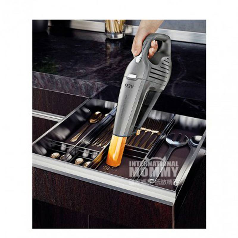 AEG 독일 AEG 휴대용가정용무선진공청소기 HX6-35TM 해외버전