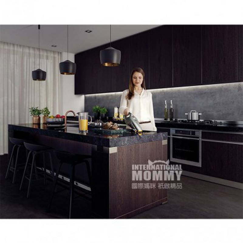 AEG 독일 AEG 휴대용가정용무선진공청소기 HX6-35TM 해외버전