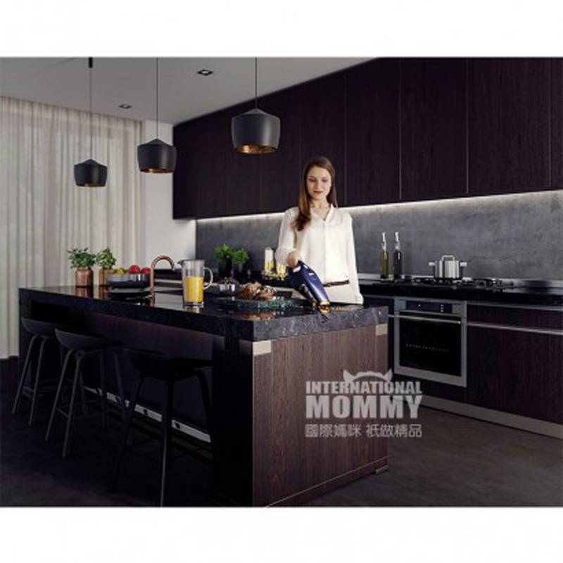 AEG 독일 AEG 휴대용가정용무선진공청소기 HX6-27BM 해외버전