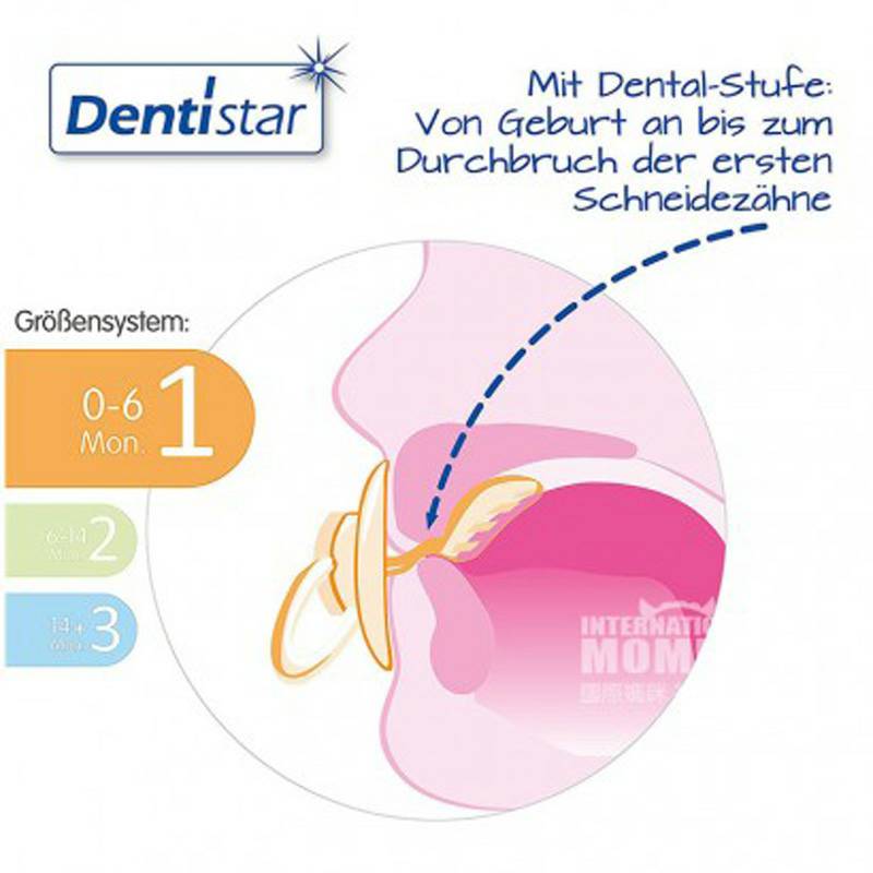 Dentistar 독일 Dentistar 아기아기고무젖꼭지 * 3 0-6 개월해외버전