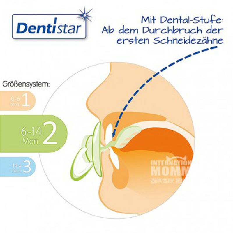 Dentistar 독일덴티지테르베이비안무르기젖꼭지 3 마리 6 - 14 개월해외버전
