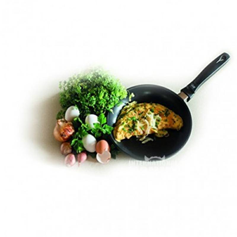 ELO 독일 ELO 붙지않는팬오일연기평면바닥프라이팬냄비 24cm 97524 해외버전