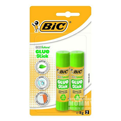BIC KIDS 프랑스학습스틱 2 해외버전