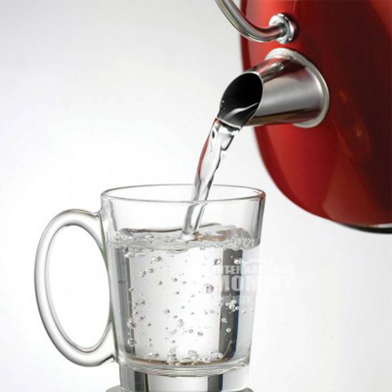 Morphy Richards 영국전기주전자 1.5 리터 102004EE 해외버전