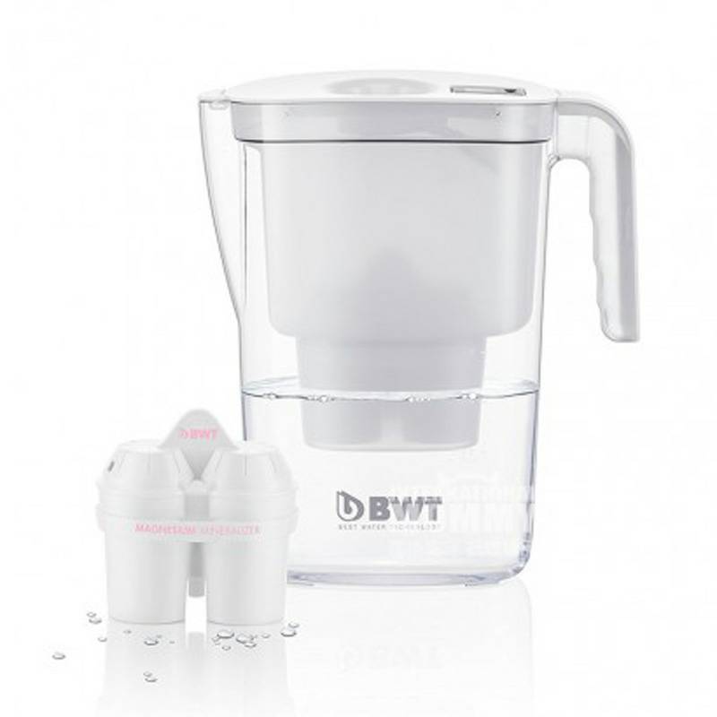 BWT 독일마그네슘이온주전자가정용필터링주전자해외판