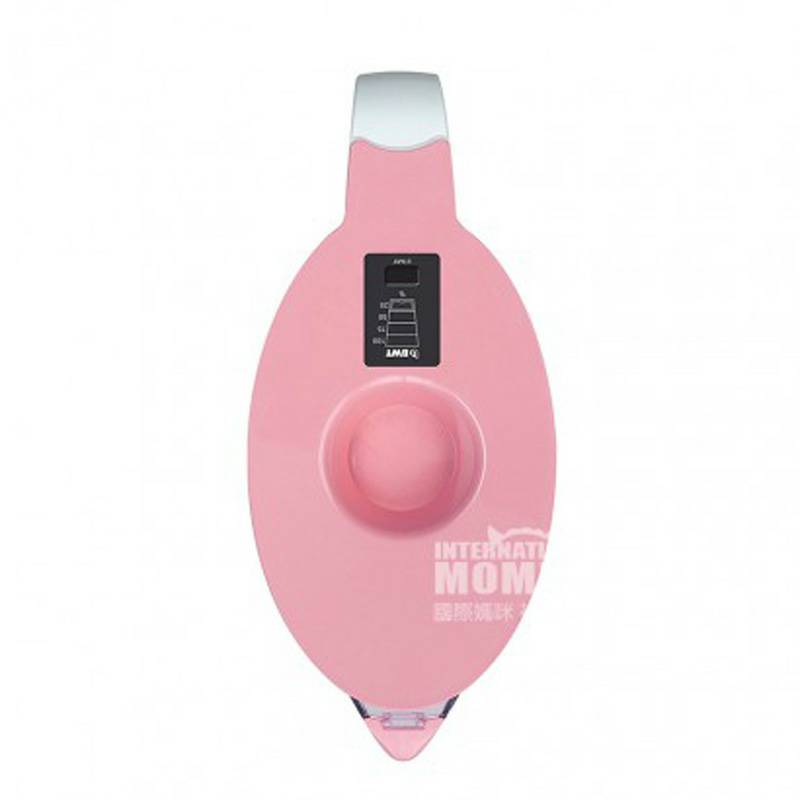 BWT 독일마그네슘이온정수기가정용필터주전자 815088 해외판