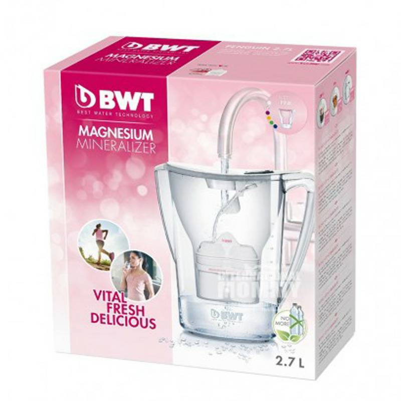 BWT 독일마그네슘이온정수기가정용필터주전자 815088 해외판