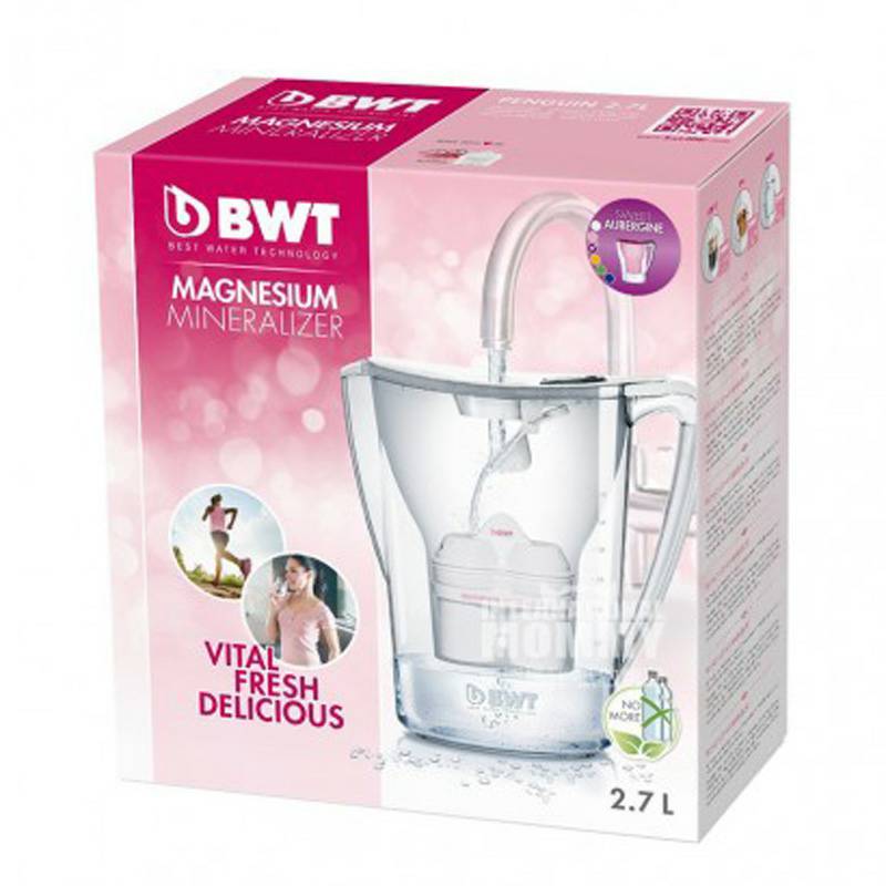 BWT 독일마그네슘이온주전자가정용필터주전자 815071 해외버전