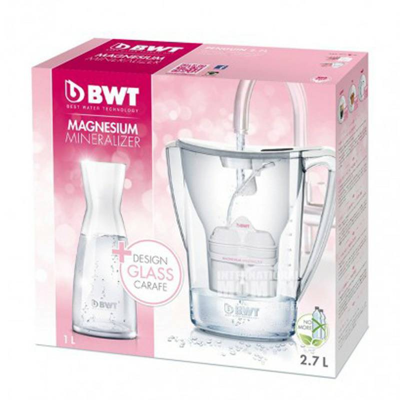 BWT 독일마그네슘이온정수기가정용필터주전자 815086 해외판