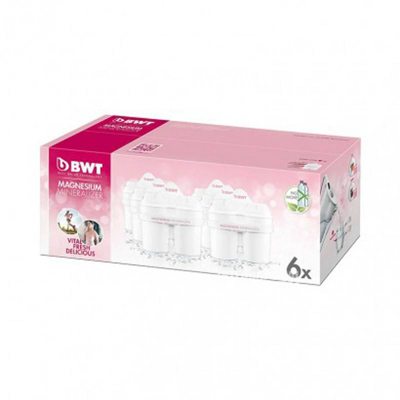 BWT 독일마그네슘이온필터주전자 -6 요소 814136 해외버전