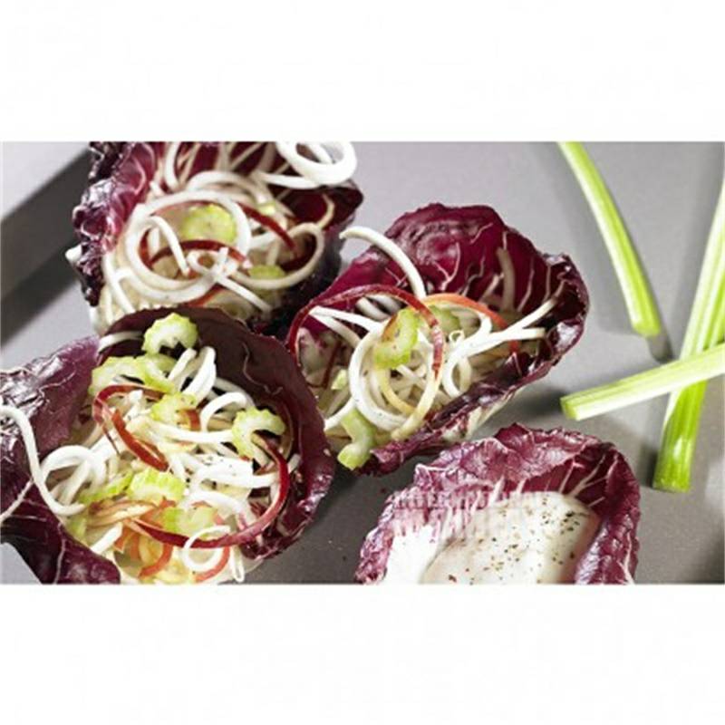 LURCH 독일 LURCH 다기능강판가정용주방야채및과일강판 10203 해외버전