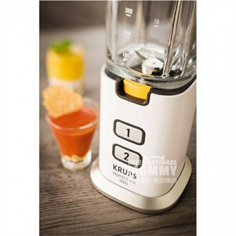 KRUPS 독일 KRUPS 유아식품보충제작은혼합분쇄기 KB3031 해외버전