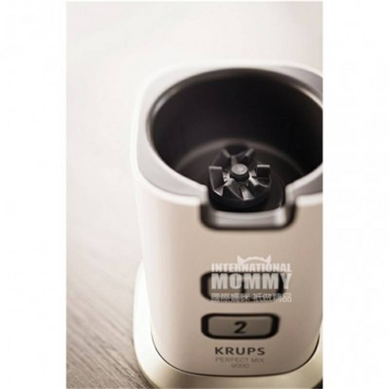 KRUPS 독일 KRUPS 유아식품보충제작은혼합분쇄기 KB3031 해외버전
