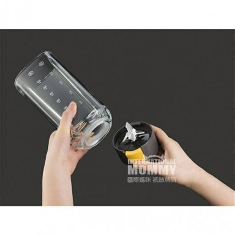 KRUPS 독일 KRUPS 유아식품보충제작은혼합분쇄기 KB3031 해외버전