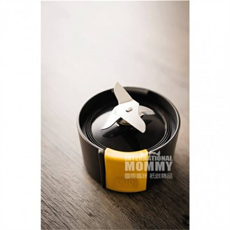 KRUPS 독일 KRUPS 유아식품보충제작은혼합분쇄기 KB3031 해외버전