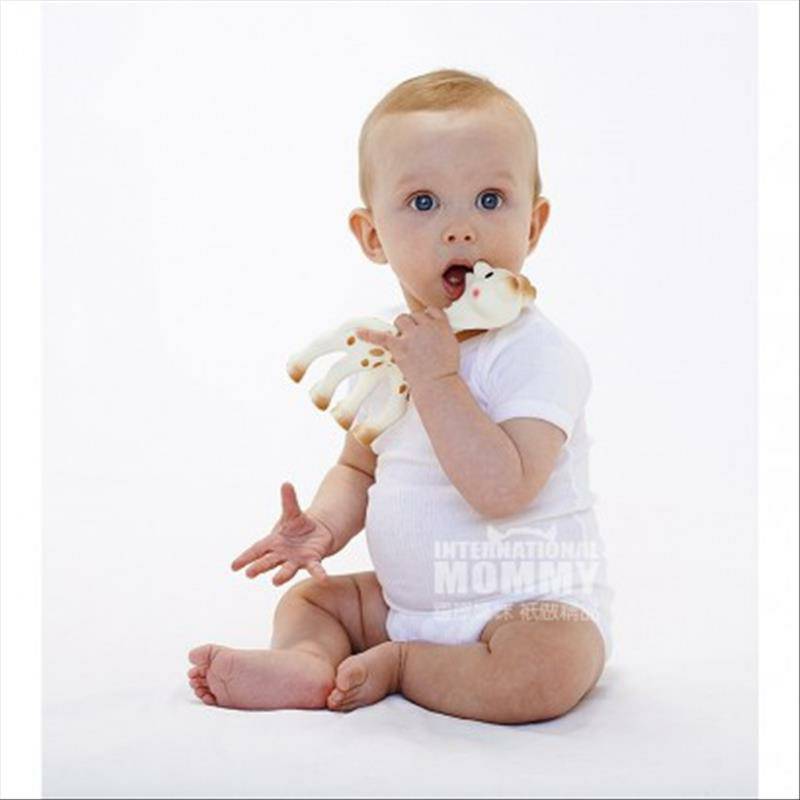 Vulli Sophi 프랑스아젤케이스해외버전