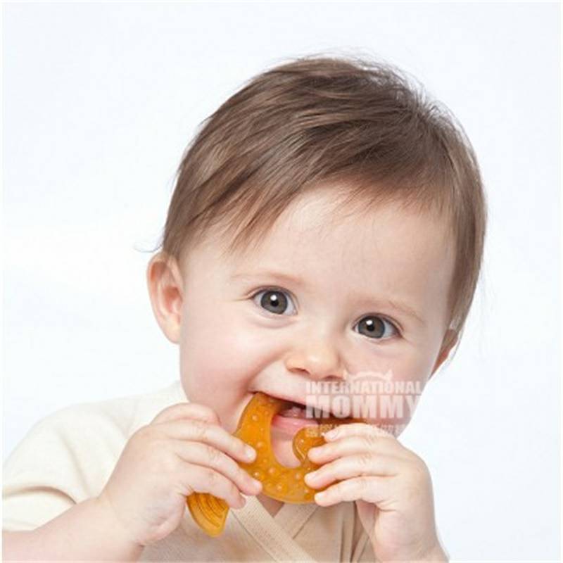 GRUN SPECHT 독일신생아퍼즐천연고무유기치아해외판