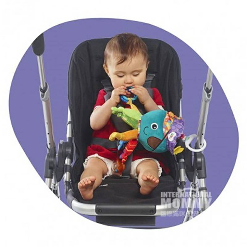 Lamanze 미국작은문어딸랑이선반해외판으로걸려있다.