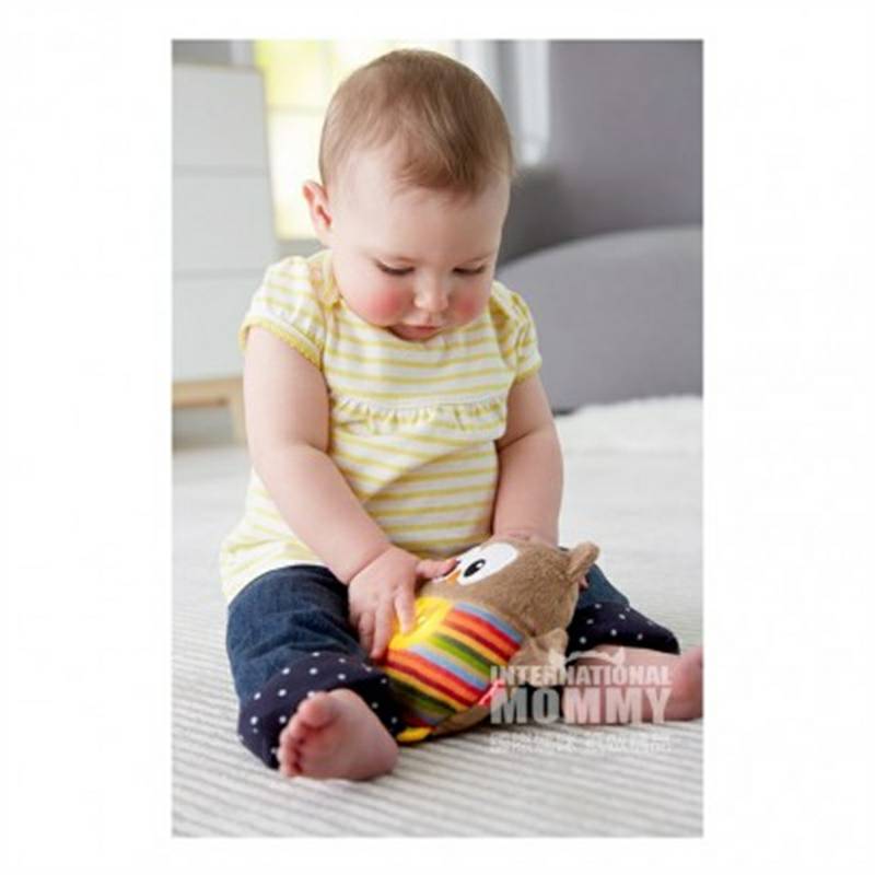 Fisher Price 미국성광위로부엉이장난감해외버전