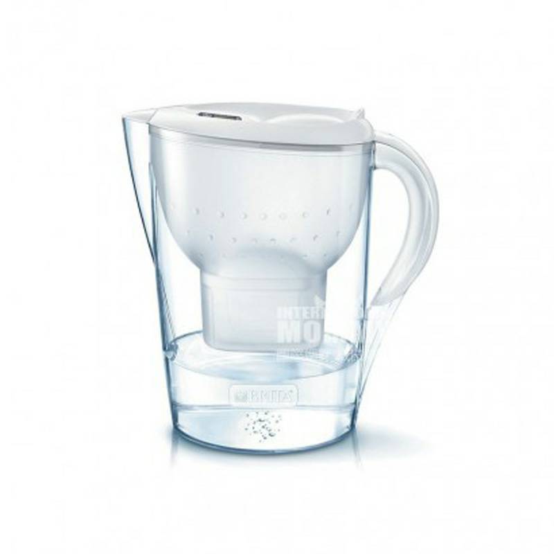 BRITA 독일필터링주전자 1 필터해외버전