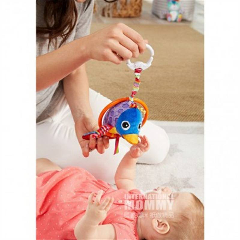 Lamaze 미국아기돌고래인형해외버전