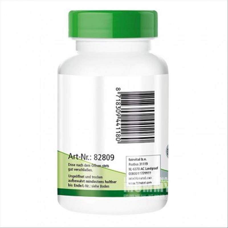 Fairvital 독일임산부 B12 + 엽산해외버전