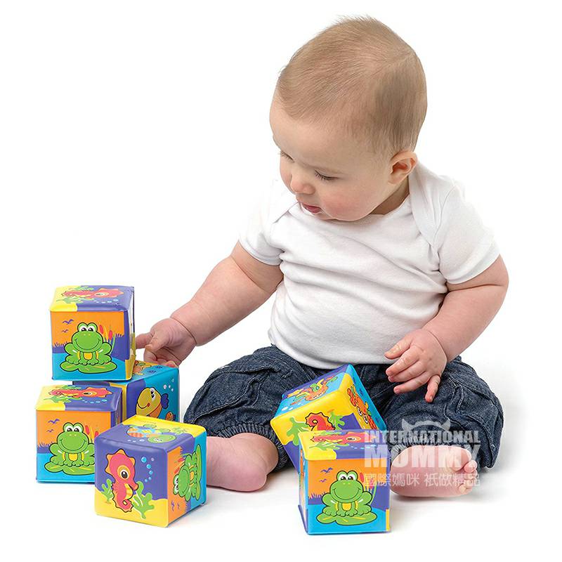Playgro 호주 Playgro 아기장난감큐브해외버전