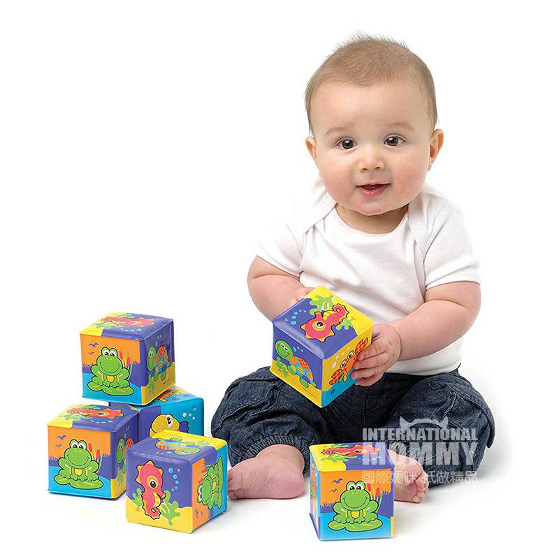 Playgro 호주 Playgro 아기장난감큐브해외버전