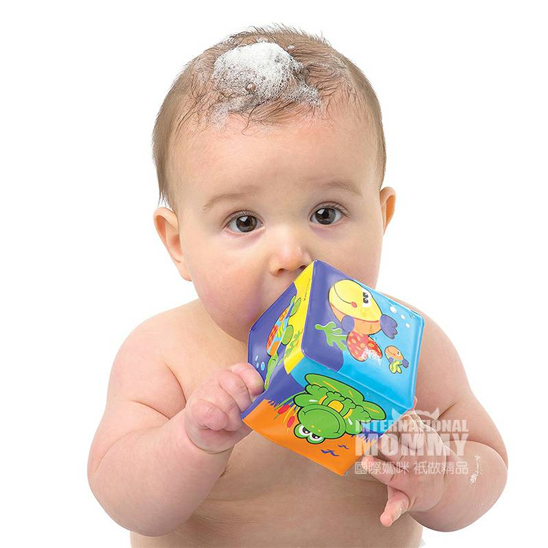 Playgro 호주 Playgro 아기장난감큐브해외버전