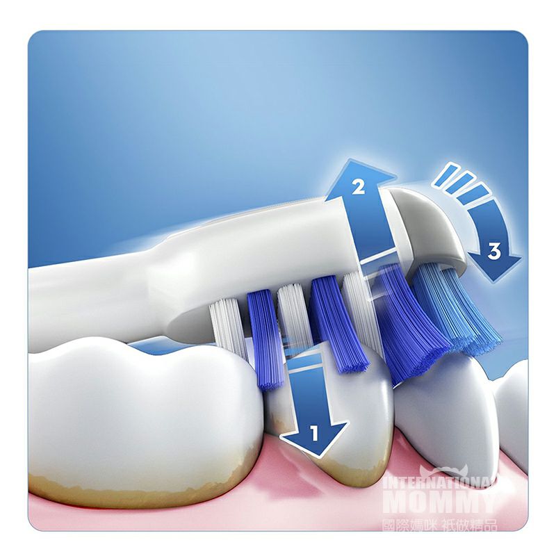 BRAUN 독일 oral - b 오러 B 성인 2D 모델전동칫솔해외버전