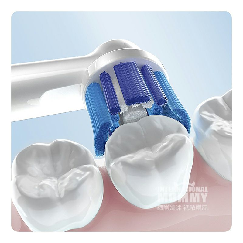 BRAUN 독일 oral - b 오로나 B 정확도청결형전동칫솔헤드 5 개해외버전