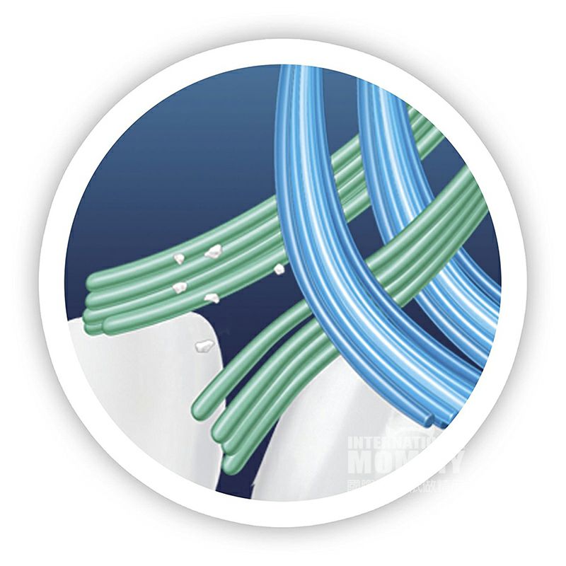 BRAUN 독일 oral - b 오로비소프트수동칫솔 * 4 해외버전