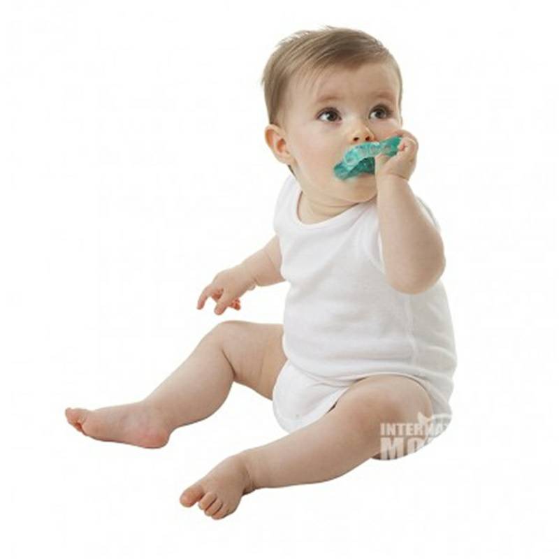 Playgro 호주 Playgro 아기냉각진정 Teether 3 팩해외버전