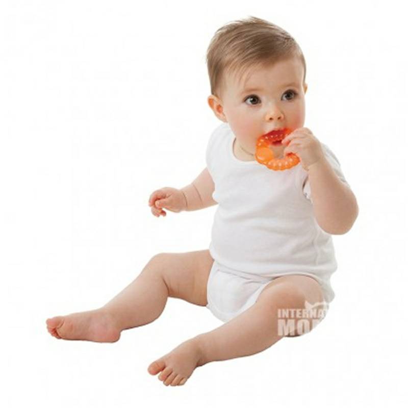 Playgro 호주 Playgro 아기냉각진정 Teether 3 팩해외버전