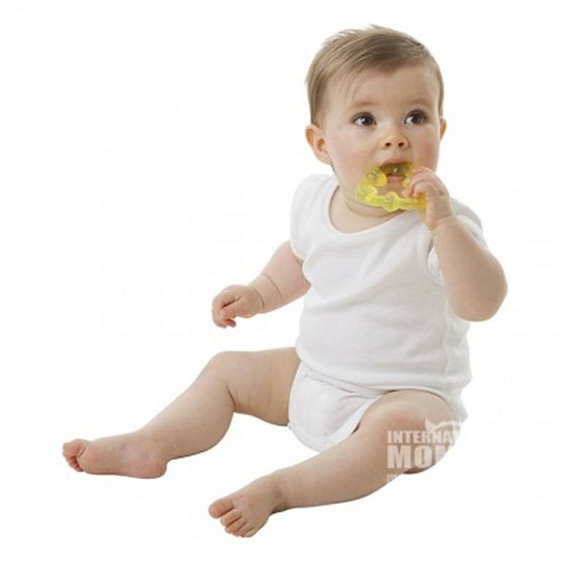 Playgro 호주 Playgro 아기냉각진정 Teether 3 팩해외버전