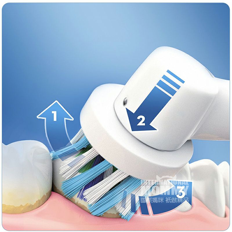 BRAUN 독일 oral - b 오로나 B 성인충전식다각도청결 2D 전동칫솔해외버전