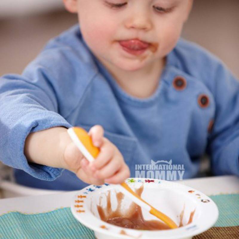 PHILIPS AVENT 영국베이비스케이트그릇 6 개월이상해외버전