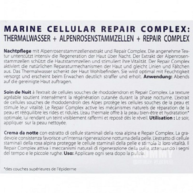 SANS SOUCIS 독일장미키스링클케어나이트크림해외버전