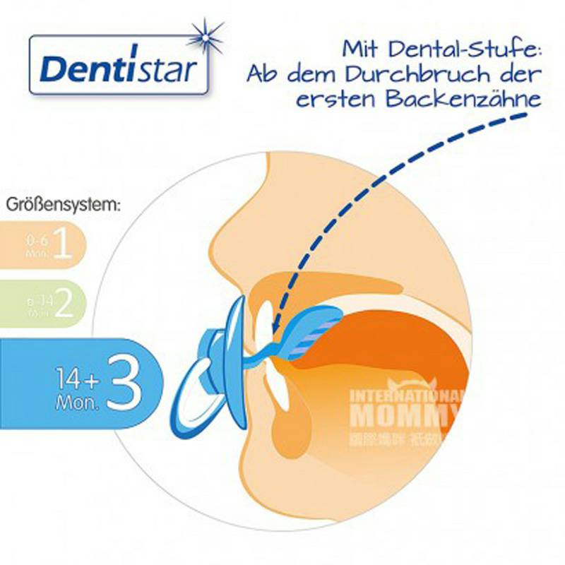 Dentistar 독일 Dentistar 베이비나이트구강케어젖꼭지 * 14 개월이상 3 개월해외버전