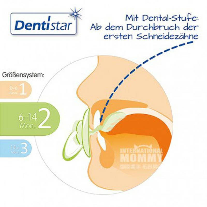 Dentistar 독일 Dentistar 베이비퍼플시리즈치과치료라텍스노리개 * 3 6-14 개월해외버전