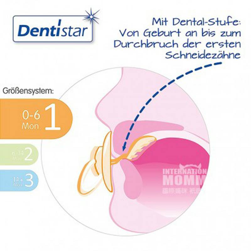 Dentistar 독일베이비핑크별야간호치키스 * 3 - 6 개월해외버전