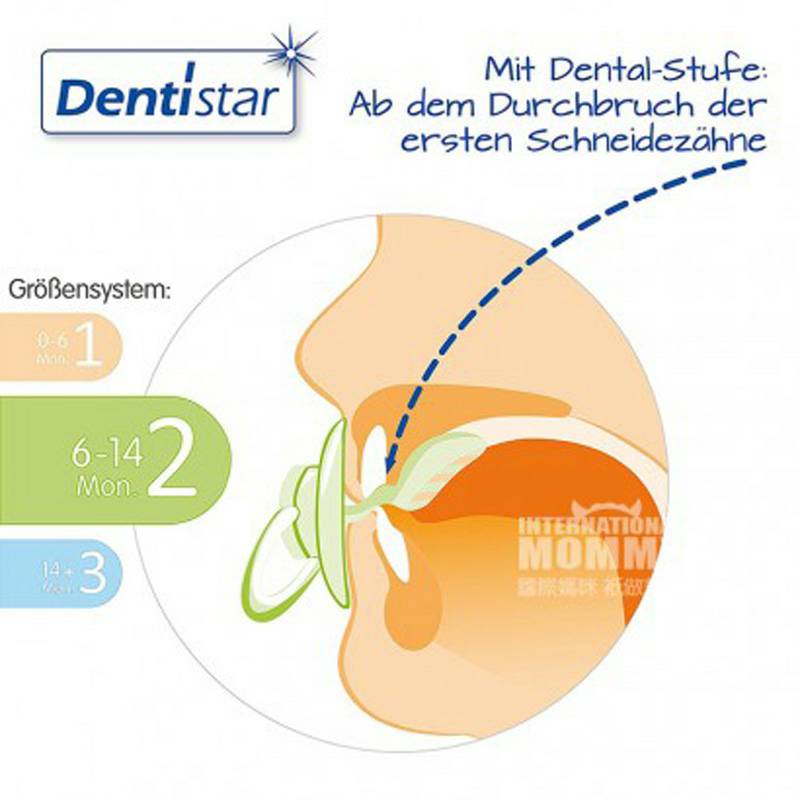 Dentistar 독일 Dentistar 아기알파벳마우스피스젖꼭지 * 3 6-14 개월해외버전