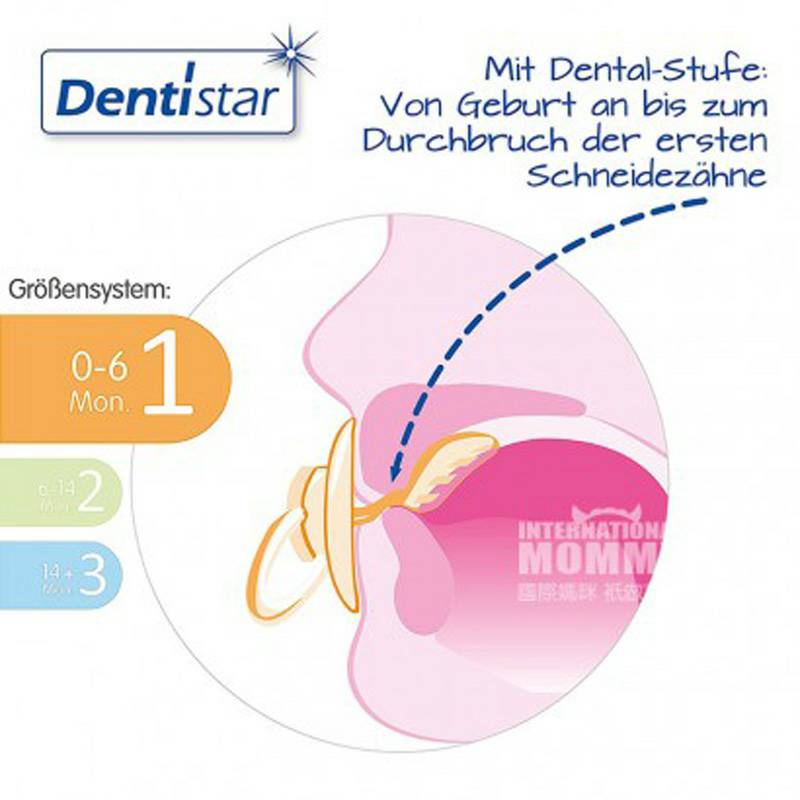 Dentistar 독일 Dentistar 아기젖니실리콘젖꼭지 * 2 0-6 개월해외버전