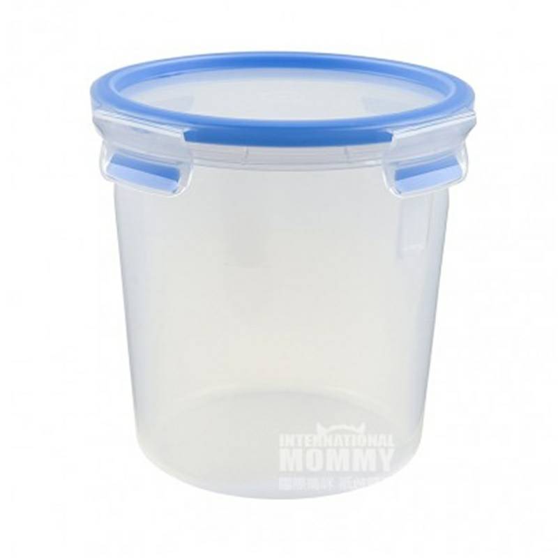 EMSA 독일식품용기 2L 해외버전