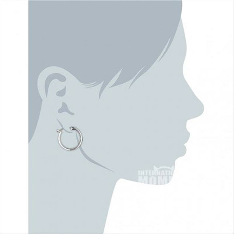 SWAROVSKI 오스트리아링크리스탈질감귀걸이해외버전