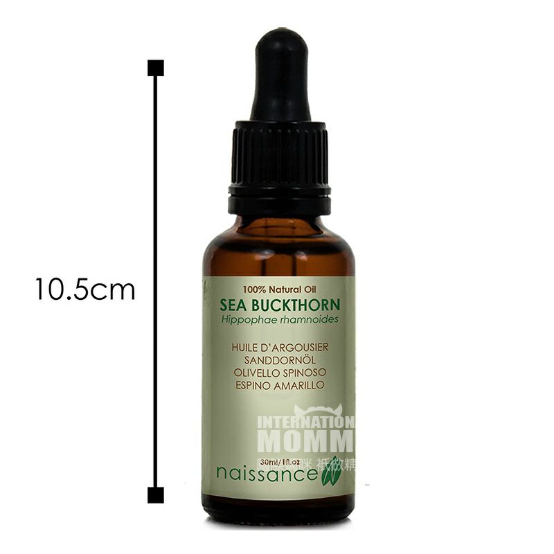 Naissance 영국 Naissance 순수천연바다갈매나무속오일해외버전