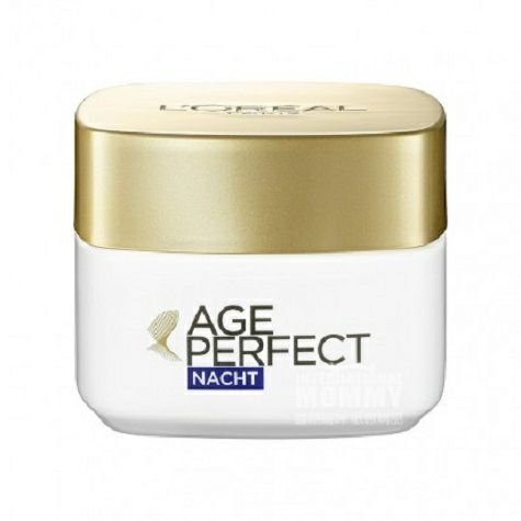 L OREAL Paris 프랑스김치진안토시아닌나이트크림해외버전